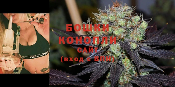соль ск Верхний Тагил