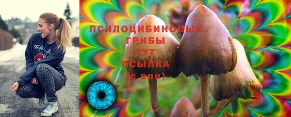 соль ск Верхний Тагил