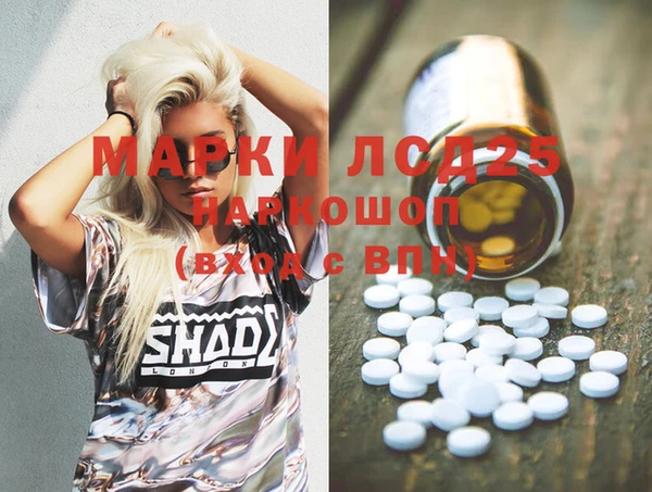 прущие грибы Богданович